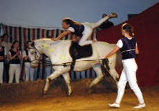 33-akrobater-til-hest